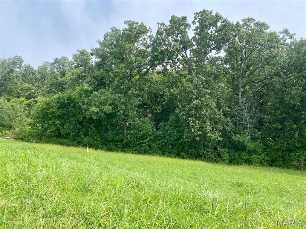 4th image of 132 Rainbow Lake Dr, Villa Ridge, MO 63089 | MLS# MIS26052410