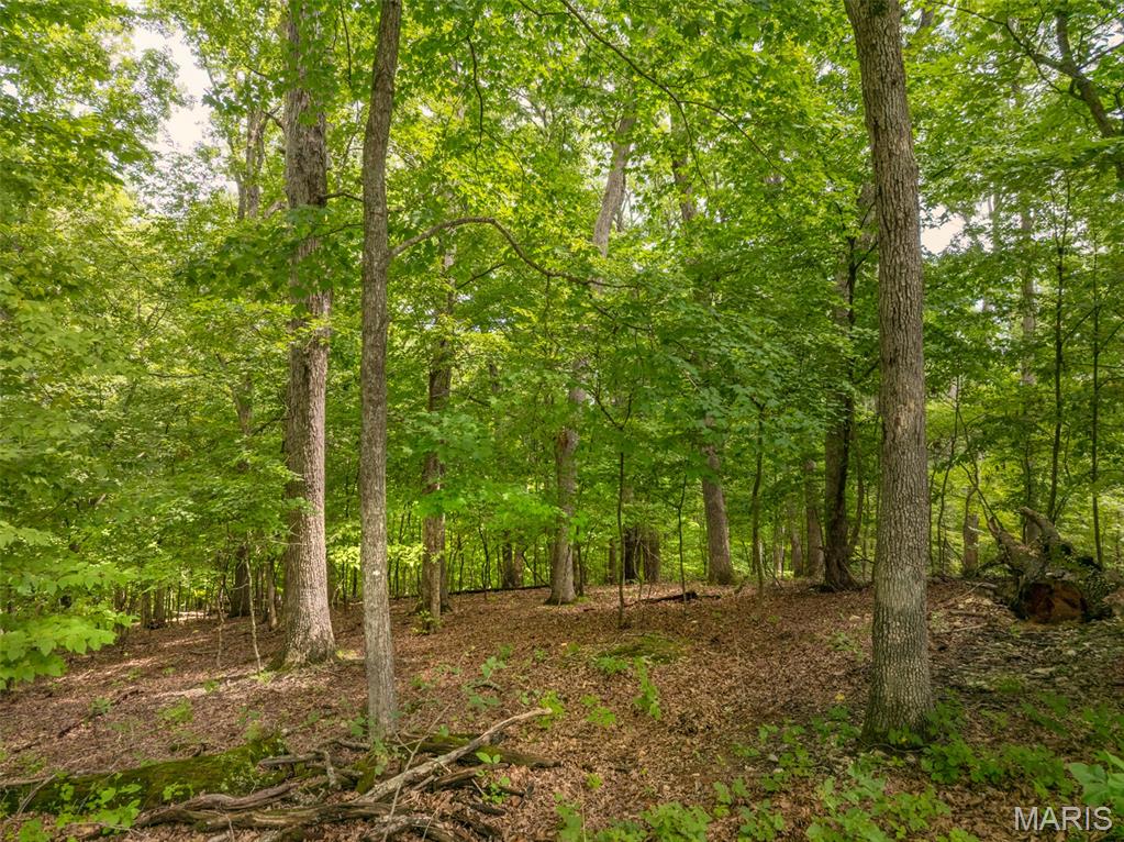 5th image of 2531 Alpine Trails Dr, Wright City, MO 63390 | MLS# MIS26053276
