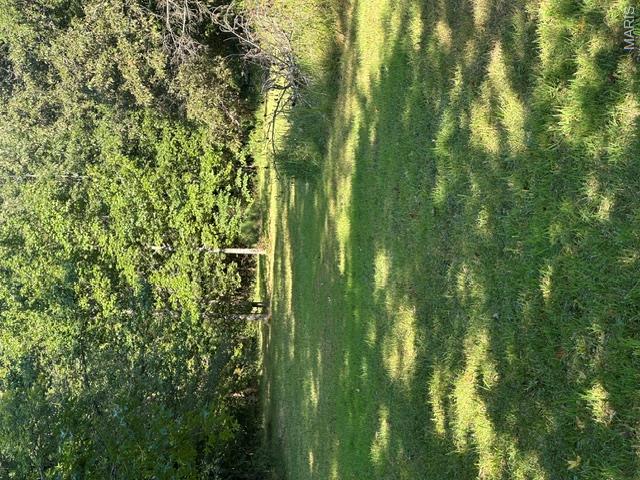 1st image of 235 Flycatcher Lane, Fairdealing, MO 63939 | MLS# MIS26053326
