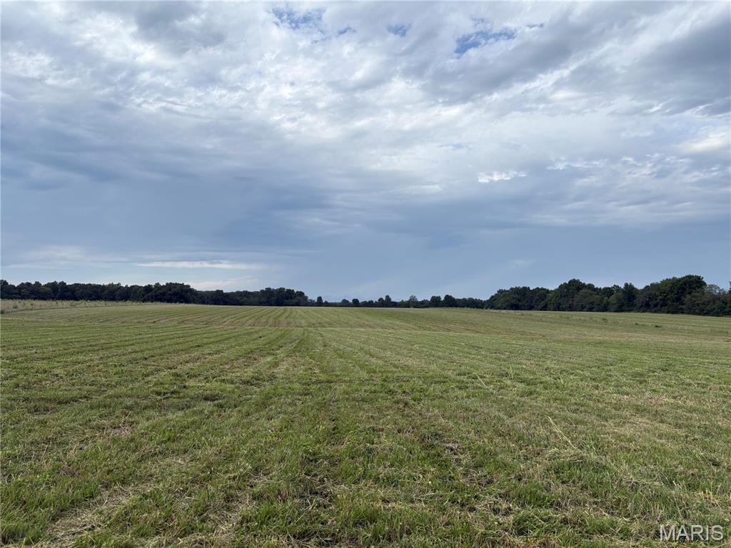 5th image of 12 Acres Hickory Lick Rd, Wright City, MO 63390 | MLS# MIS26053698