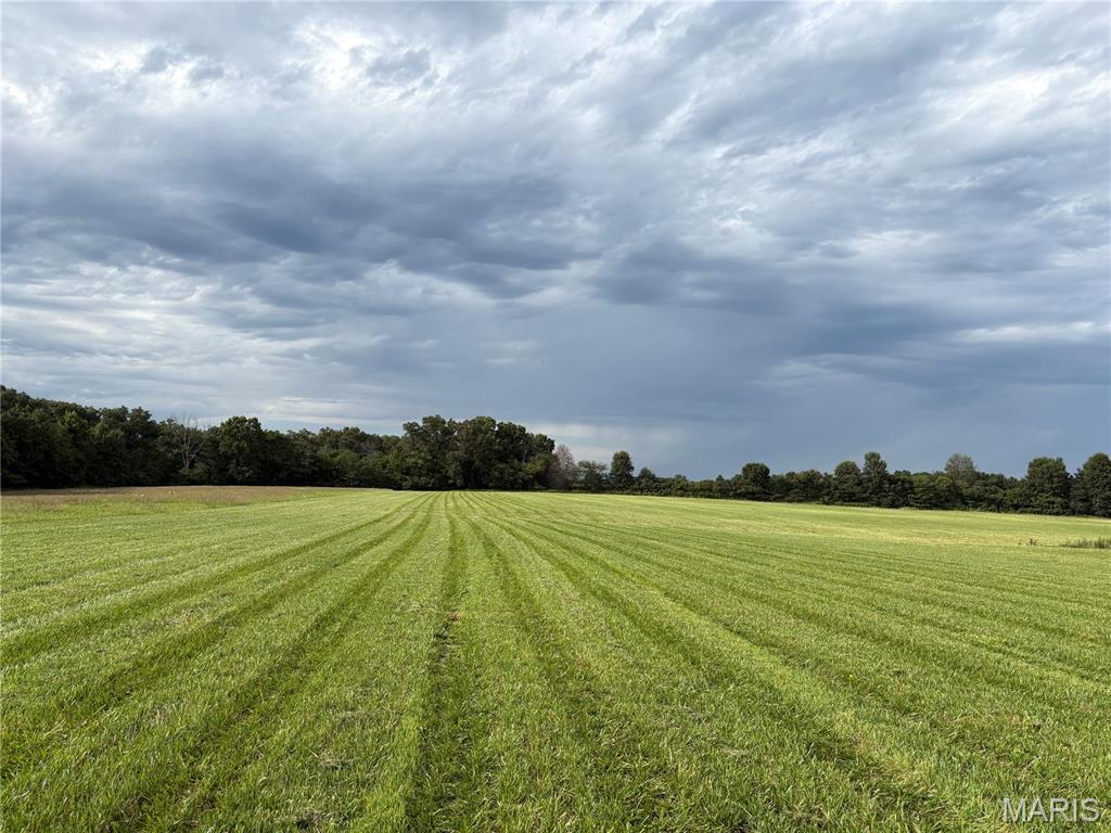 1st image of 12 Acres Hickory Lick Rd, Wright City, MO 63390 | MLS# MIS26053698