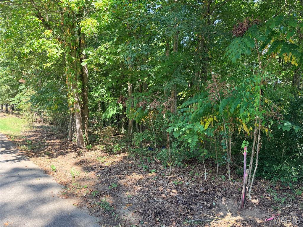 6th image of 685 Radcliff Ln, Poplar Bluff, MO 63901 | MLS# MIS26054270
