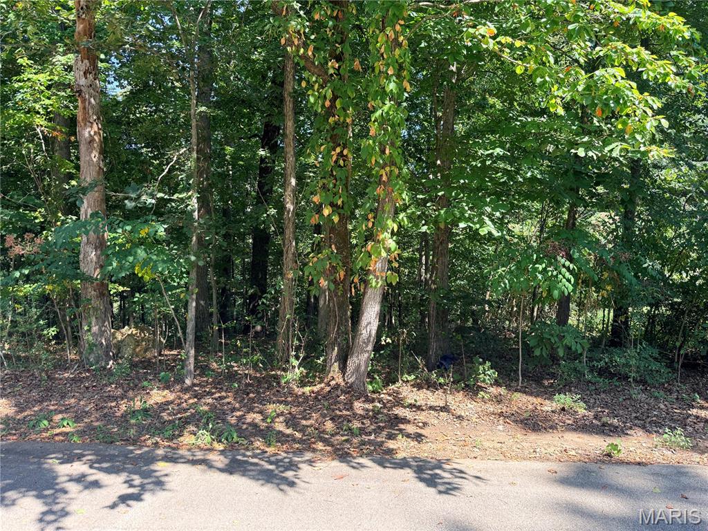 1st image of 685 Radcliff Ln, Poplar Bluff, MO 63901 | MLS# MIS26054270