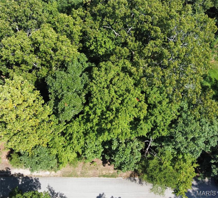 3rd image of 685 Radcliff Ln, Poplar Bluff, MO 63901 | MLS# MIS26054270