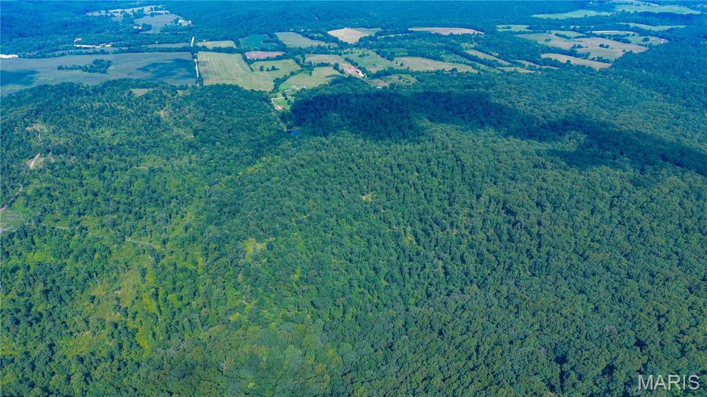 Photo 2 of Land for sale at 22978 Bcr 826, Glenallen, MO 63751 | MLS# MIS26054508 | Listing updated on 2026-09-02
