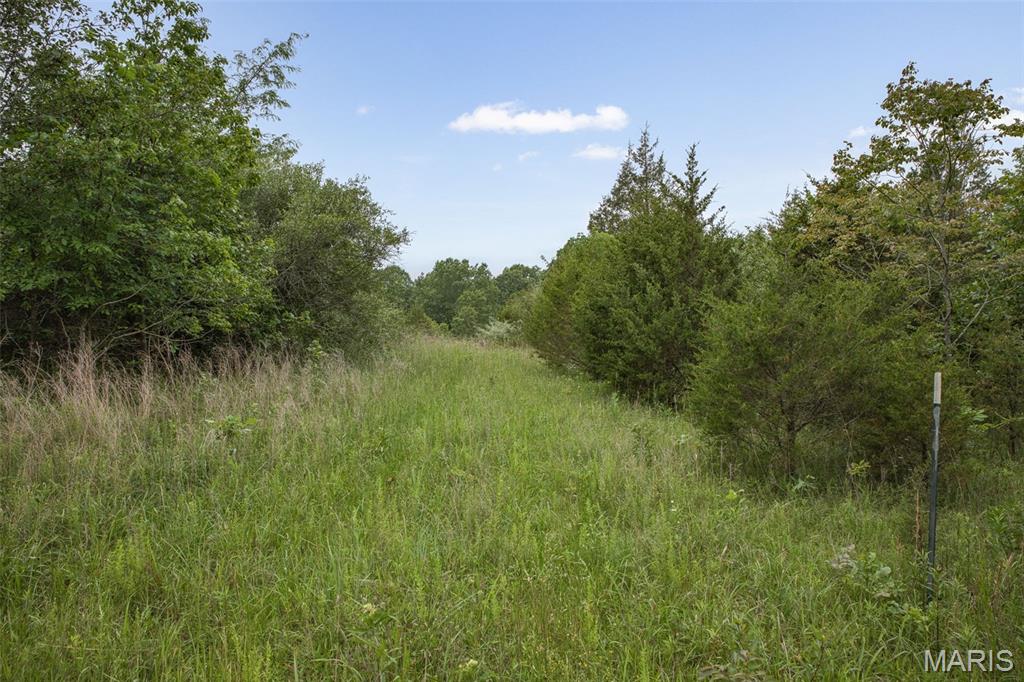 1st image of 9449 Hillsboro House Springs, Hillsboro, MO 63050 | MLS# MIS26055312