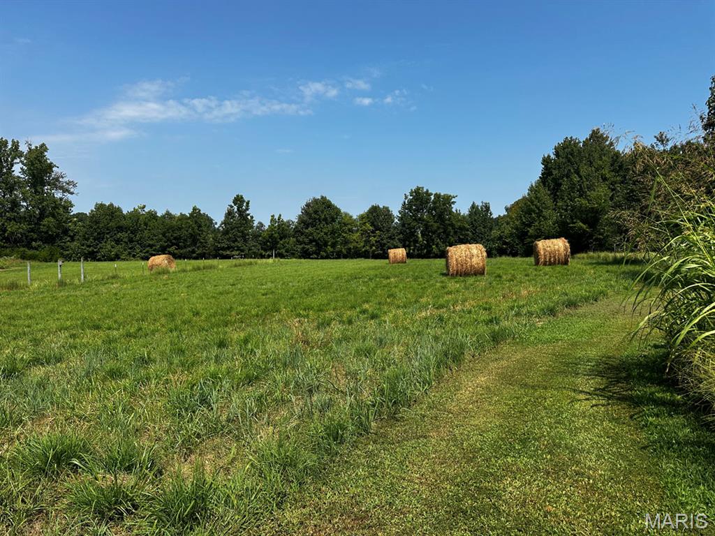 23rd image of 16058 County Road 431, Dexter, MO 63841 | MLS# MIS26055445