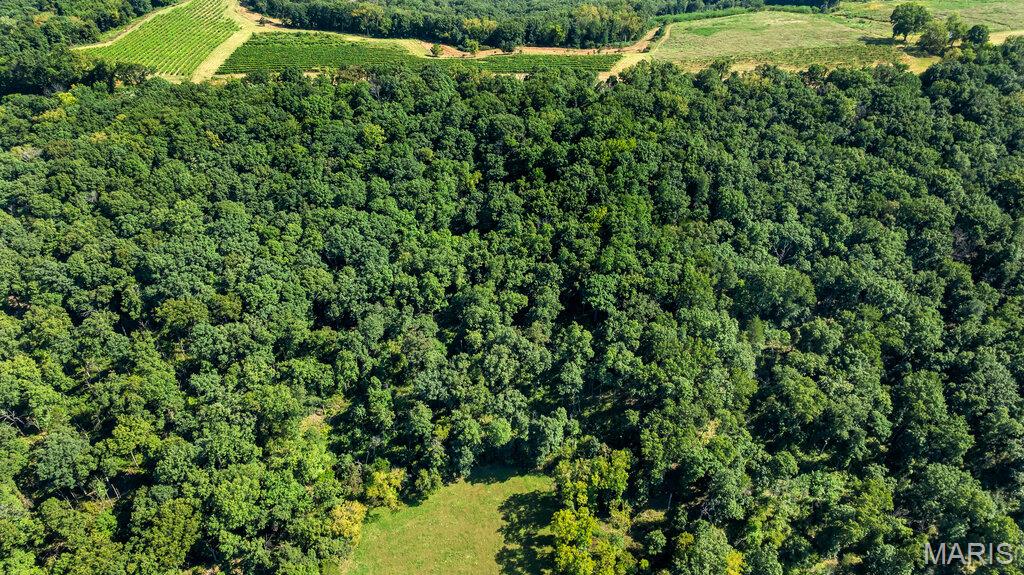 Photo 5 of Land for sale at 1652 Coles Crk Rd, Hermann, MO 65041 | MLS# MIS26056952 | Listing updated on 2026-09-04