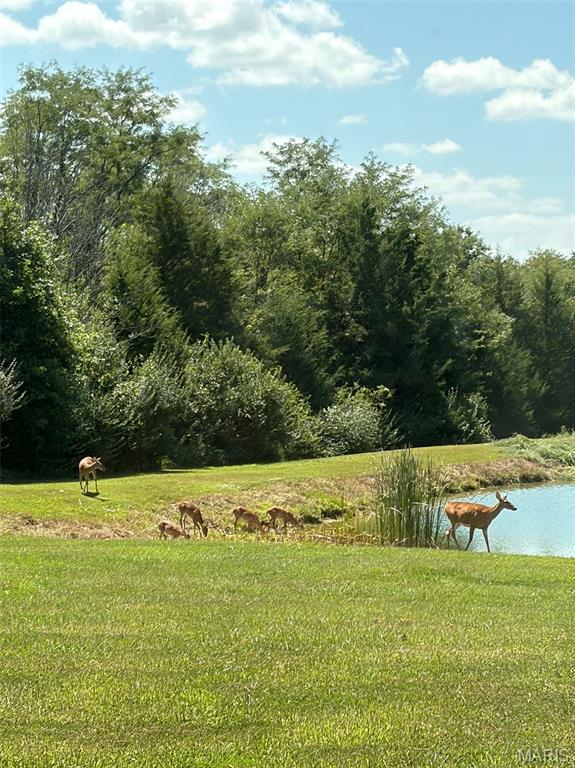 Photo 52 of Land for sale at 11117 Audrain Rd 929, Mexico, MO 65265 | MLS# MIS26057162 | Listing updated on 2026-09-06