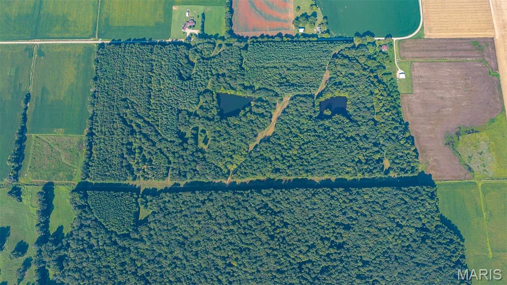 Photo 3 of Land for sale at 0 County Rd 307, Advance, MO 63730 | MLS# MIS26057492 | Listing updated on 2026-09-04