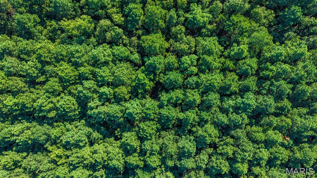 Photo 5 of Land for sale at 0 County Rd 307, Advance, MO 63730 | MLS# MIS26057492 | Listing updated on 2026-09-04