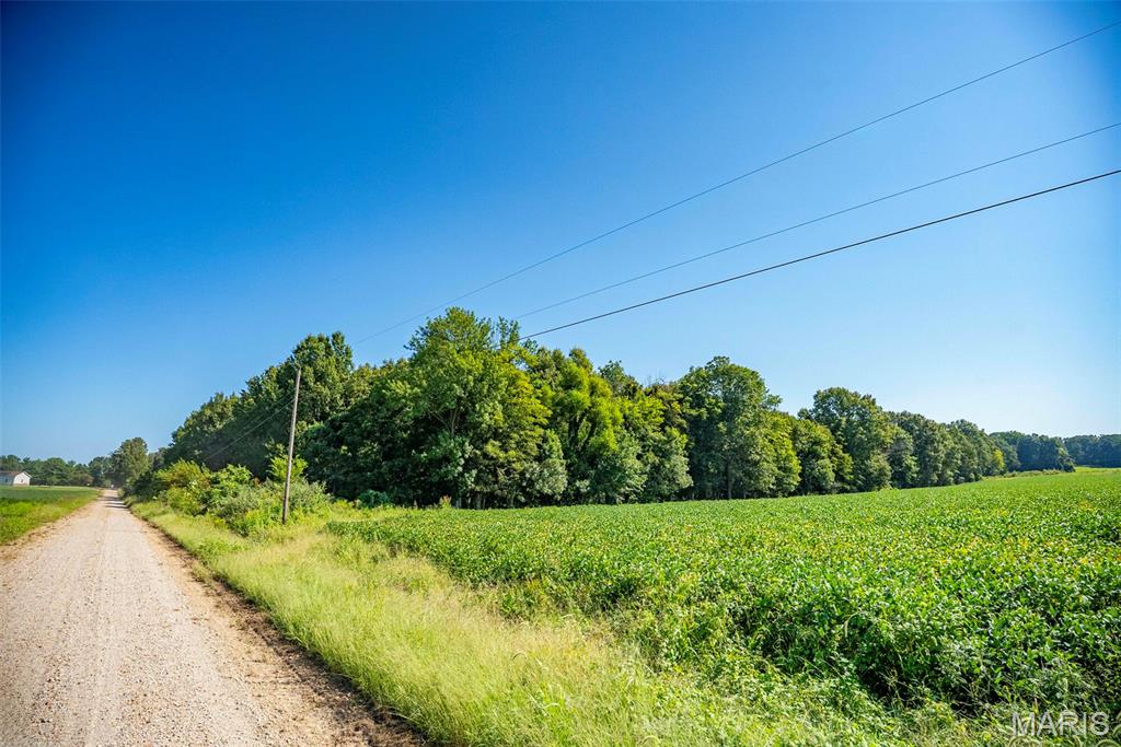 Photo 41 of Land for sale at 0 County Rd 307, Advance, MO 63730 | MLS# MIS26057492 | Listing updated on 2026-09-04