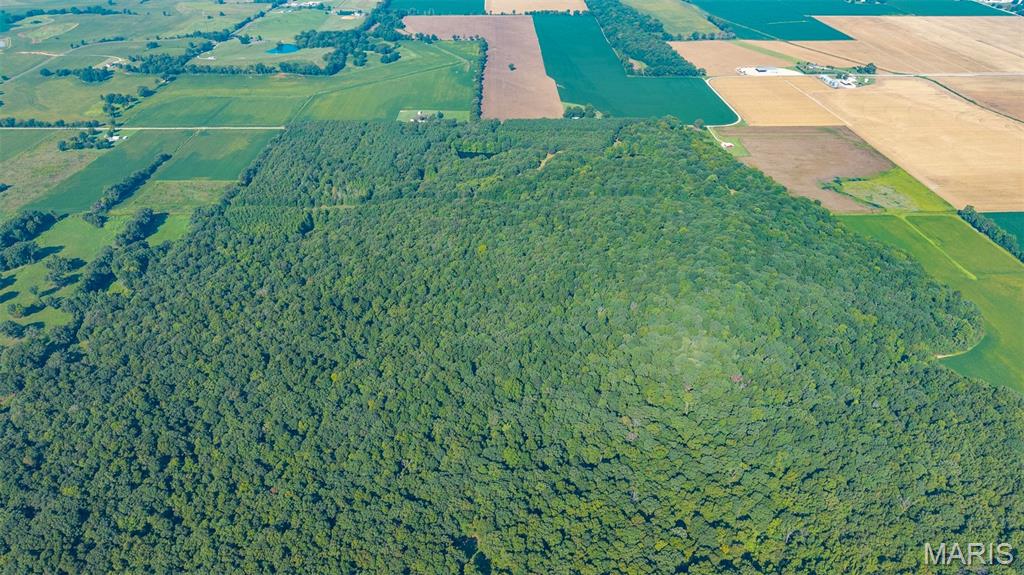 Photo 2 of Land for sale at 0 County Rd 307, Advance, MO 63730 | MLS# MIS26057492 | Listing updated on 2026-09-04