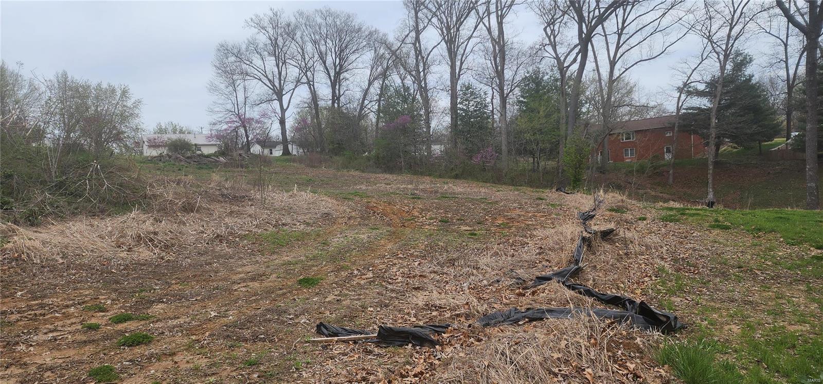 Homes for sale in Chester, IL | 40 Estate Dr, Chester, IL 62233 | MLS# MIS23019225