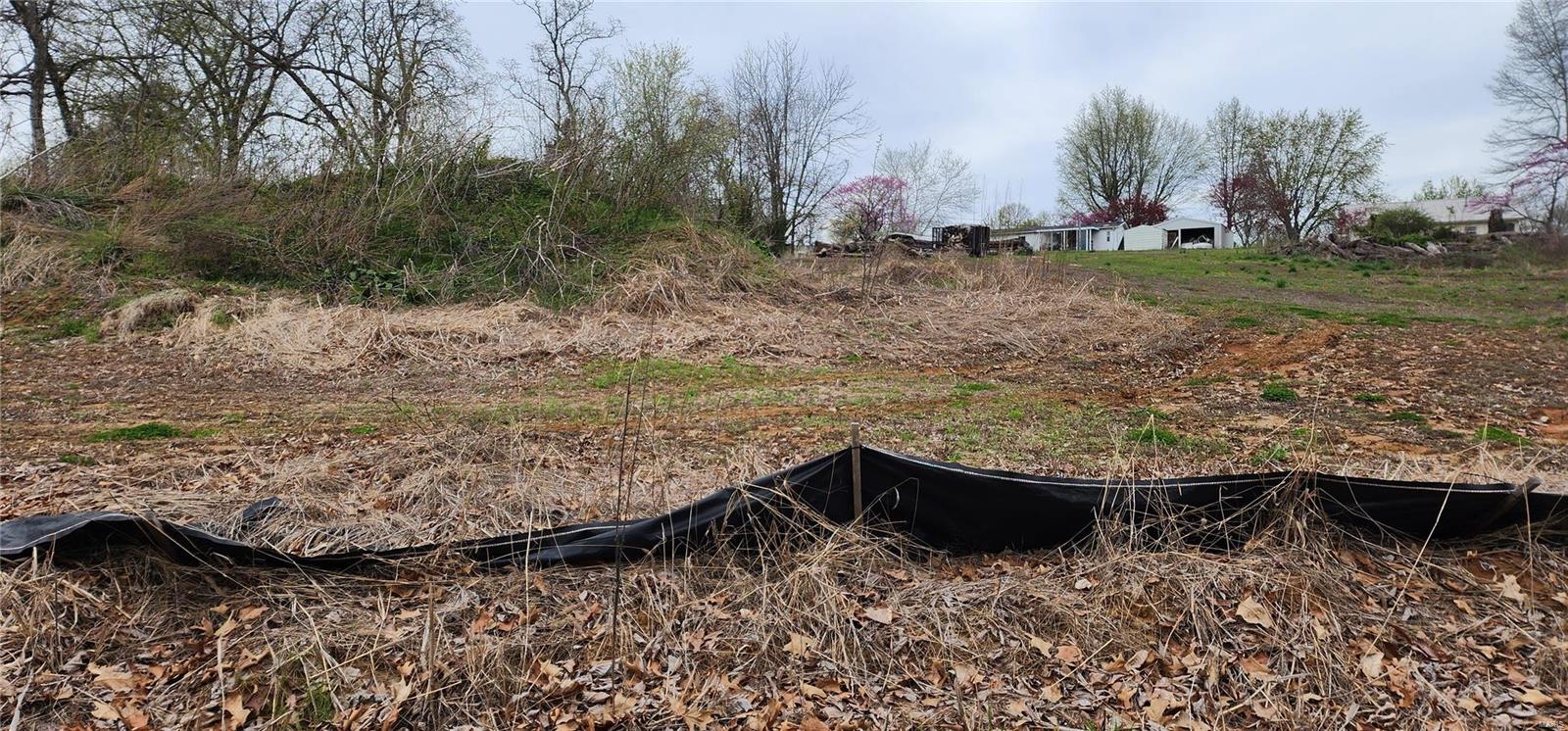 Homes for sale in Chester, IL | 40 Estate Dr, Chester, IL 62233 | MLS# MIS23019225