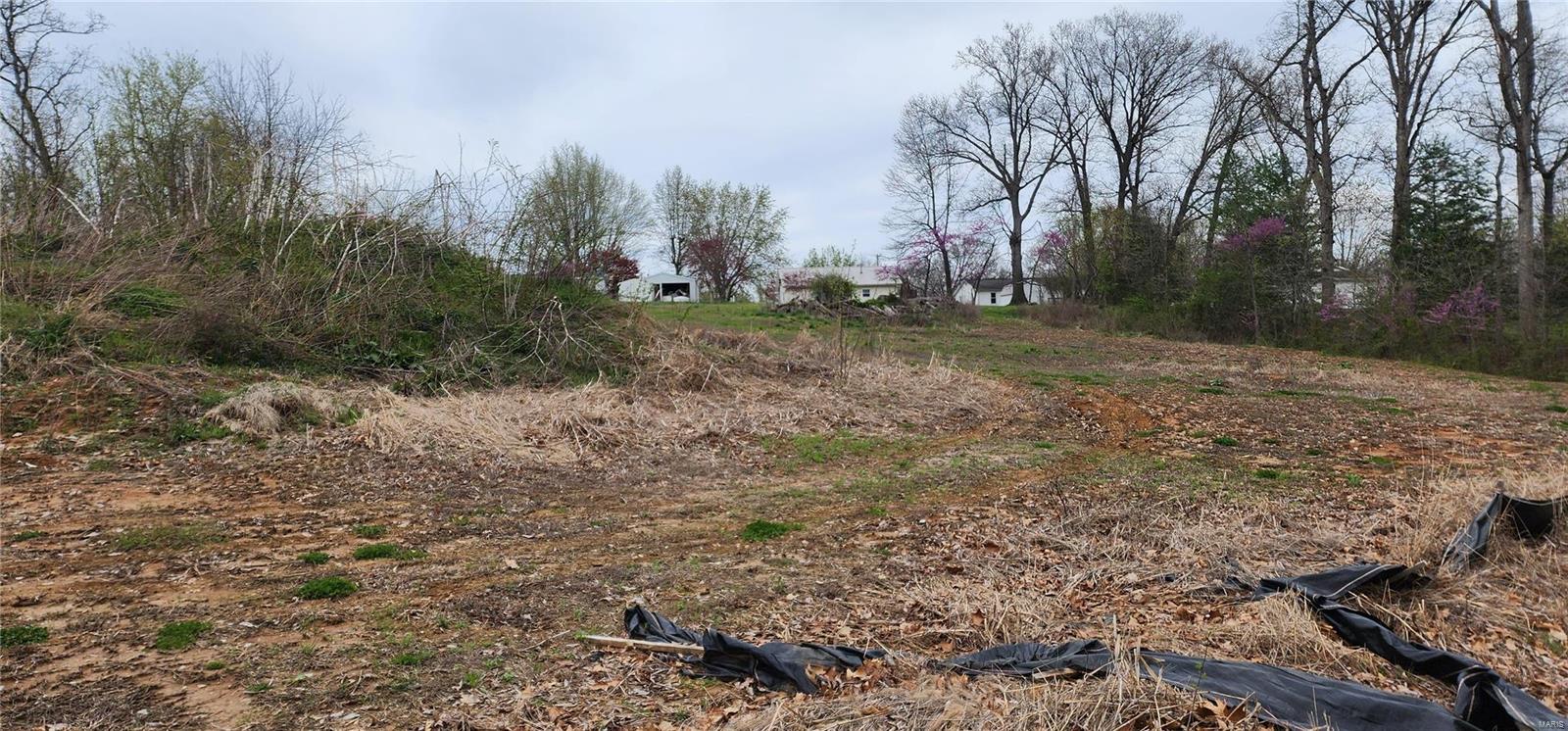 Homes for sale in Chester, IL | 40 Estate Dr, Chester, IL 62233 | MLS# MIS23019225