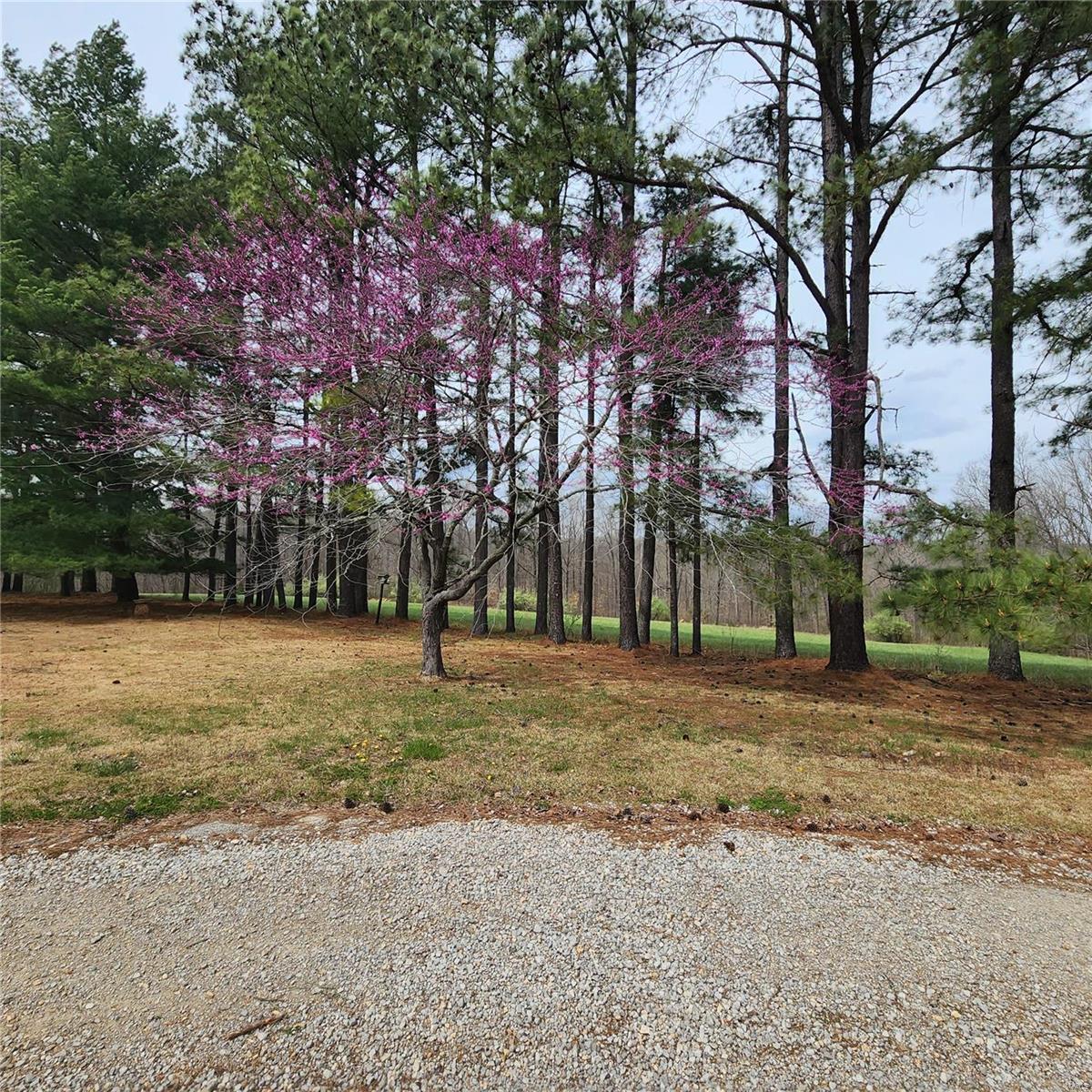 Homes for sale in Cobden, IL | 1365 Anna Nursery Ln, Cobden, IL 62920 | MLS# MIS24018008