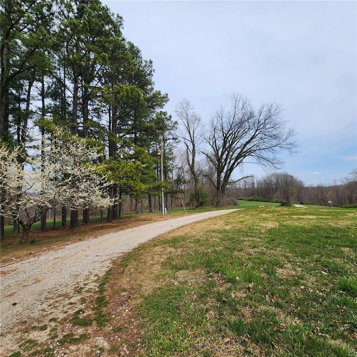 Homes for sale in Cobden, IL | 1365 Anna Nursery Ln, Cobden, IL 62920 | MLS# MIS24018008