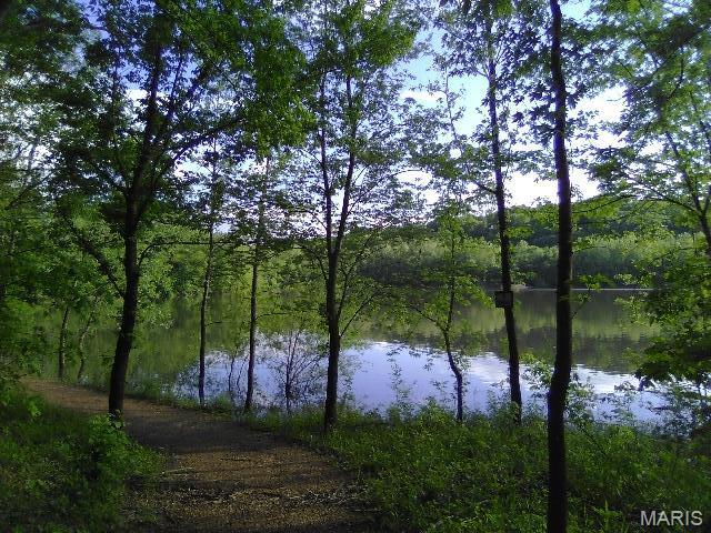 Homes for sale in Cedar Hill, MO | 0 Lot 3 4 Terri Hill Dr, Cedar Hill, MO 63016 | MLS# MIS24025691