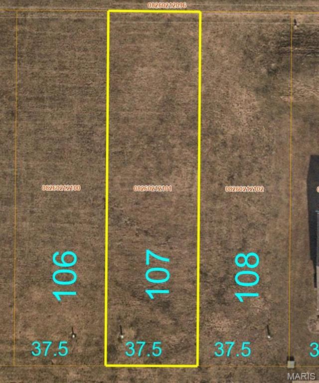 Homes for sale in Belleville, IL | 2017 Camrose Green St, Belleville, IL 62220 | MLS# MIS24054353