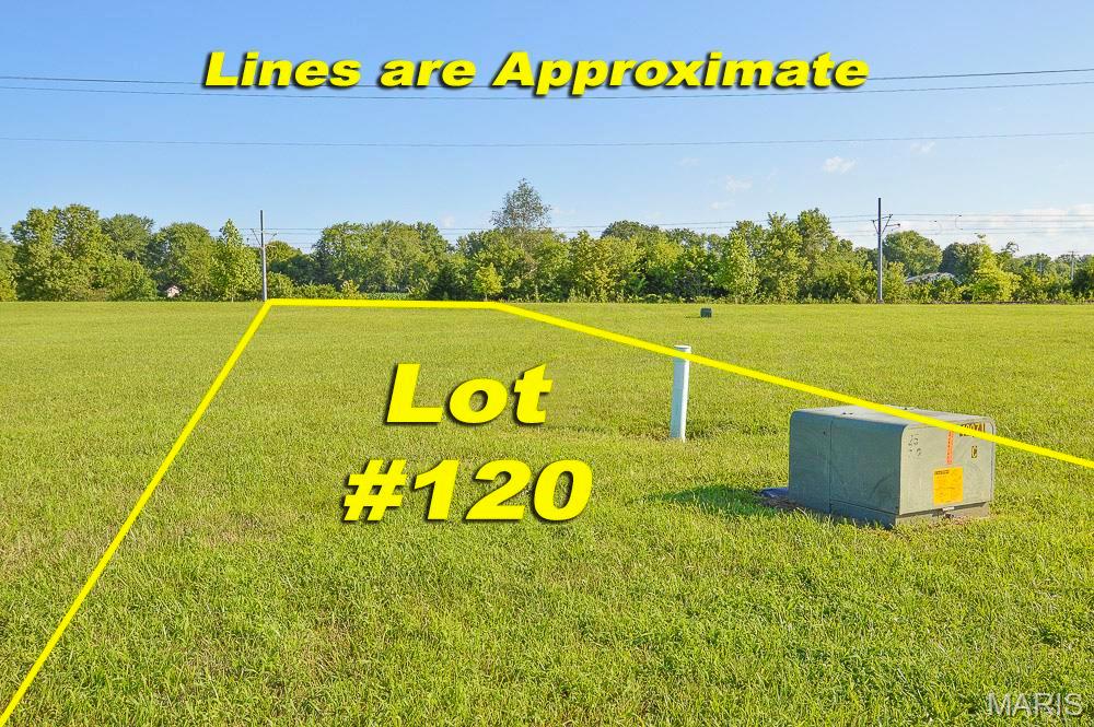 Homes for sale in Belleville, IL | 2069 Camrose Green St, Belleville, IL 62220 | MLS# MIS24054383