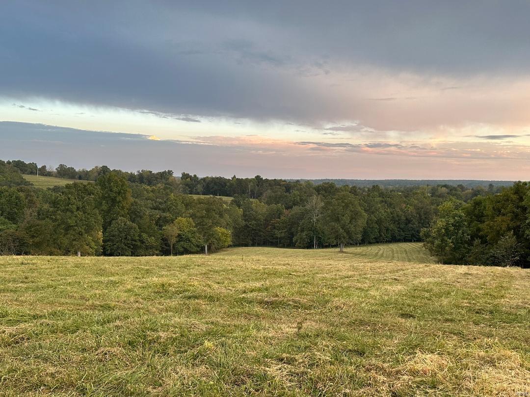 Homes for sale in De Soto, MO | 13133 Hidden Valley Ranch Rd, De Soto, MO 63020 | MLS# MIS24057489