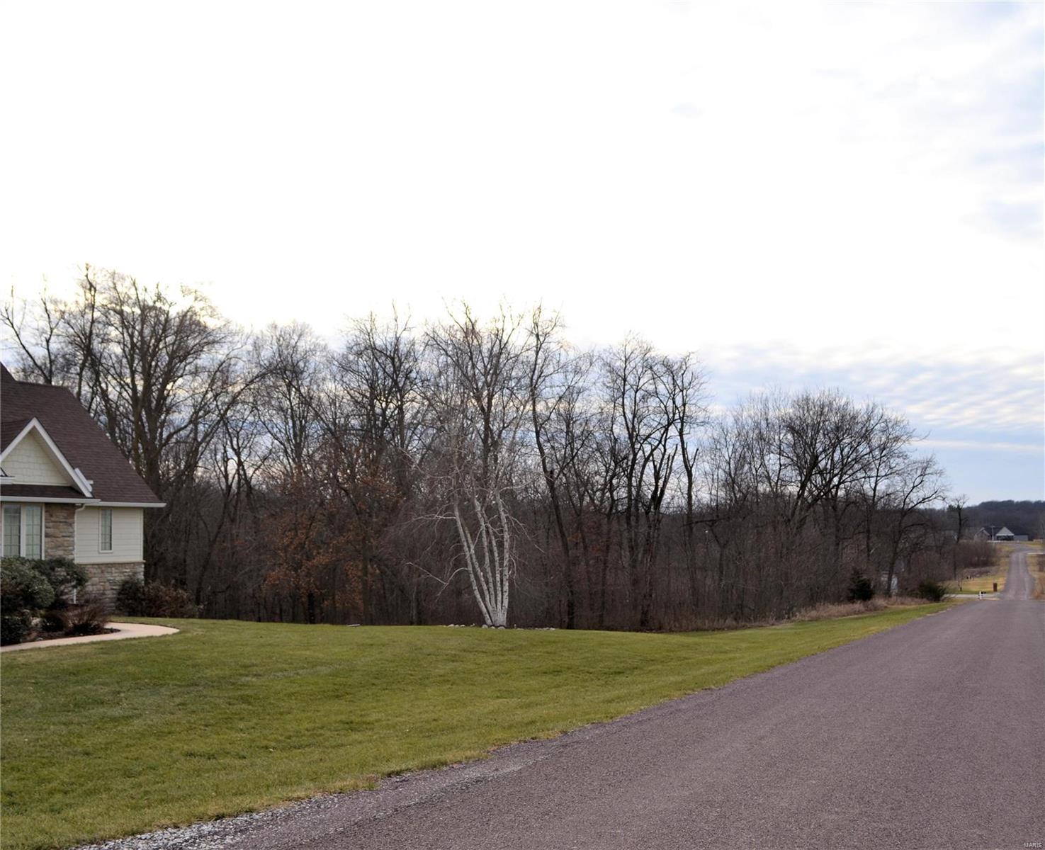 Homes for sale in Hannibal, MO | 0 Lot 47 Lela, Hannibal, MO 63401 | MLS# MIS25000776