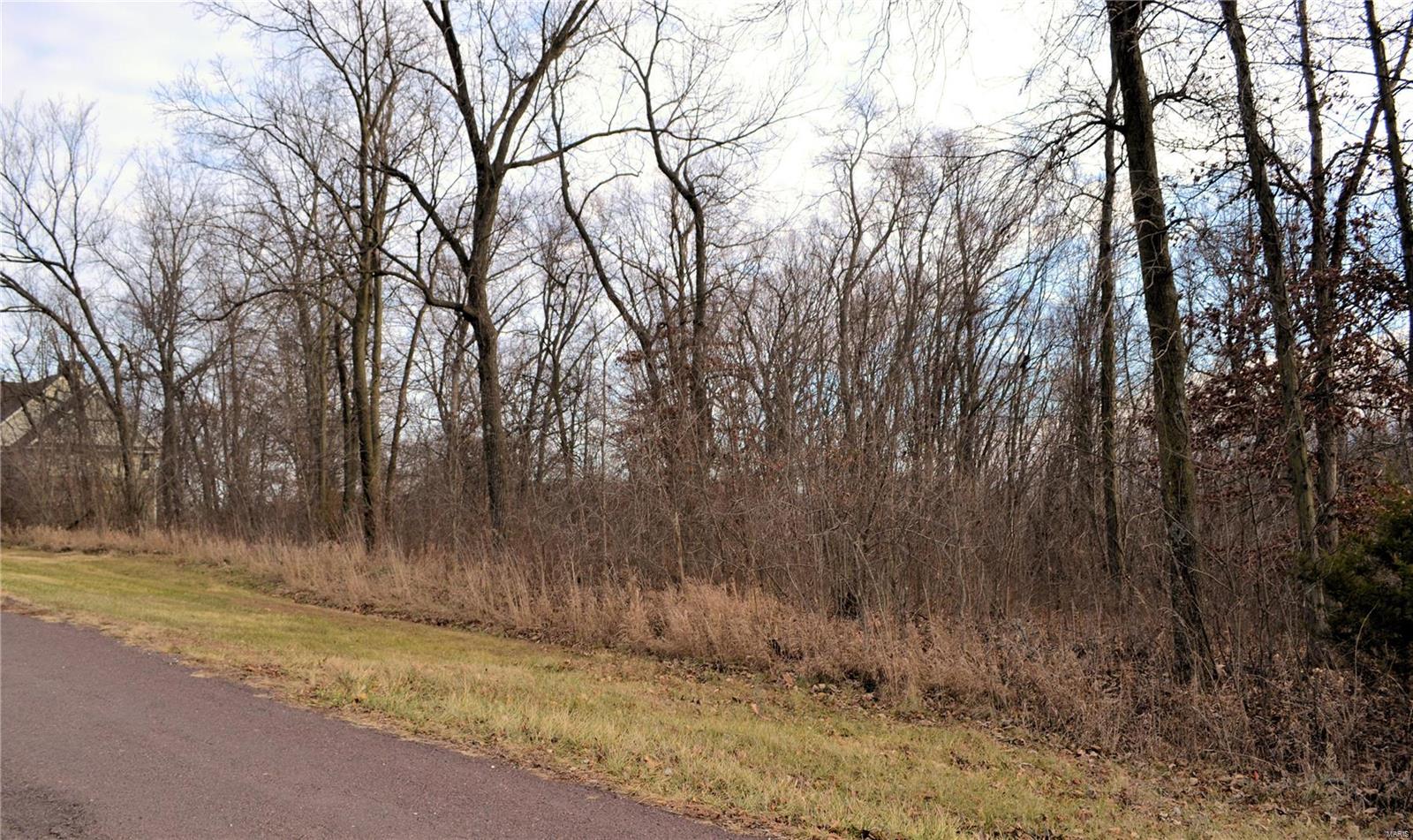 Homes for sale in Hannibal, MO | 0 Lot 47 Lela, Hannibal, MO 63401 | MLS# MIS25000776