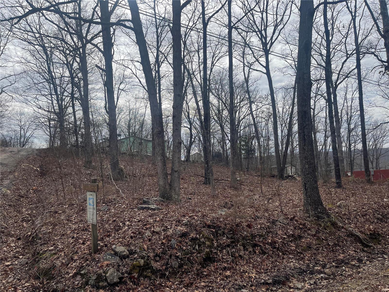 Homes for sale in Middlebrook, MO | 0 Lot 84 Mallard Rd, Middlebrook, MO 63656 | MLS# MIS25000866