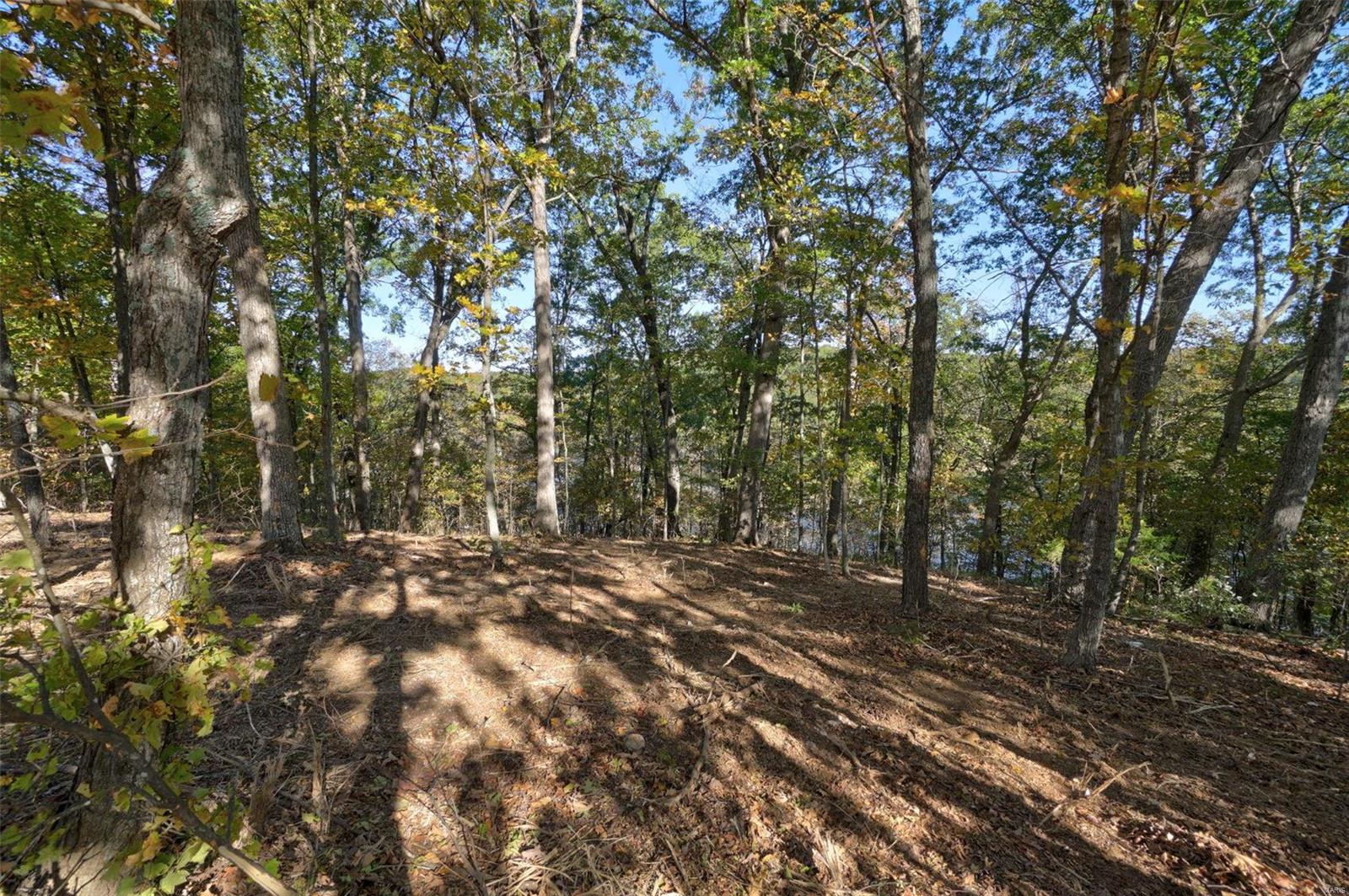 Homes for sale in Defiance, MO | 19 Hammoch Ct, Defiance, MO 63341 | MLS# MIS25005358