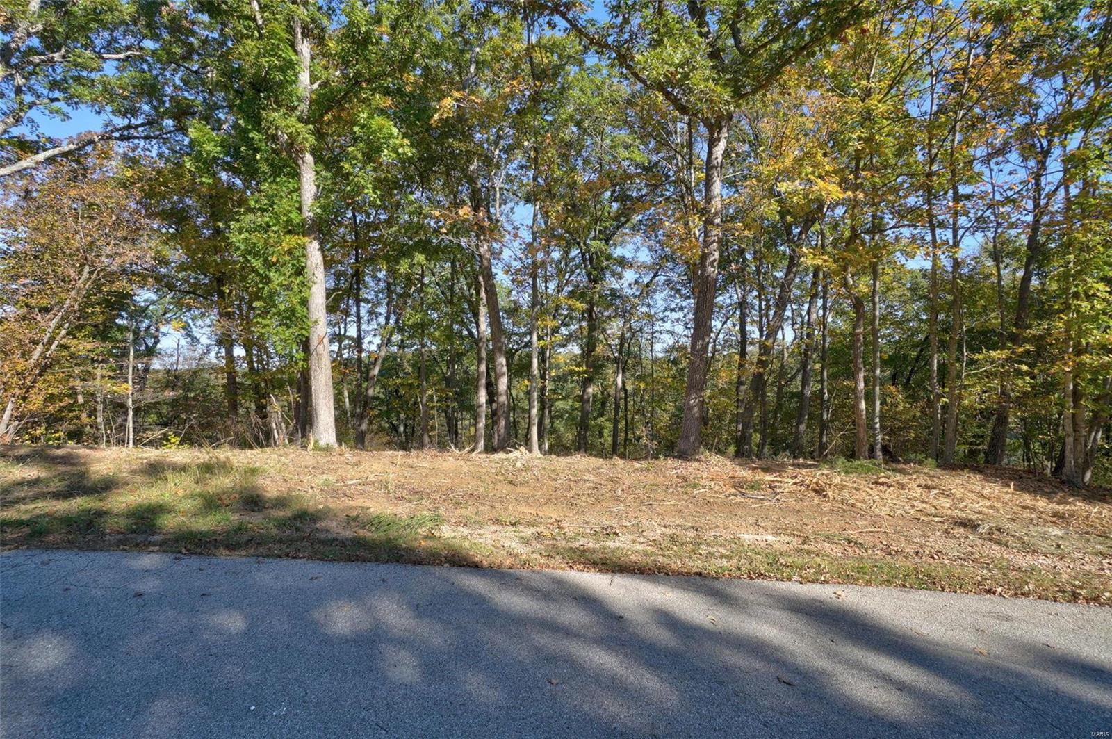 Homes for sale in Defiance, MO | 19 Hammoch Ct, Defiance, MO 63341 | MLS# MIS25005358