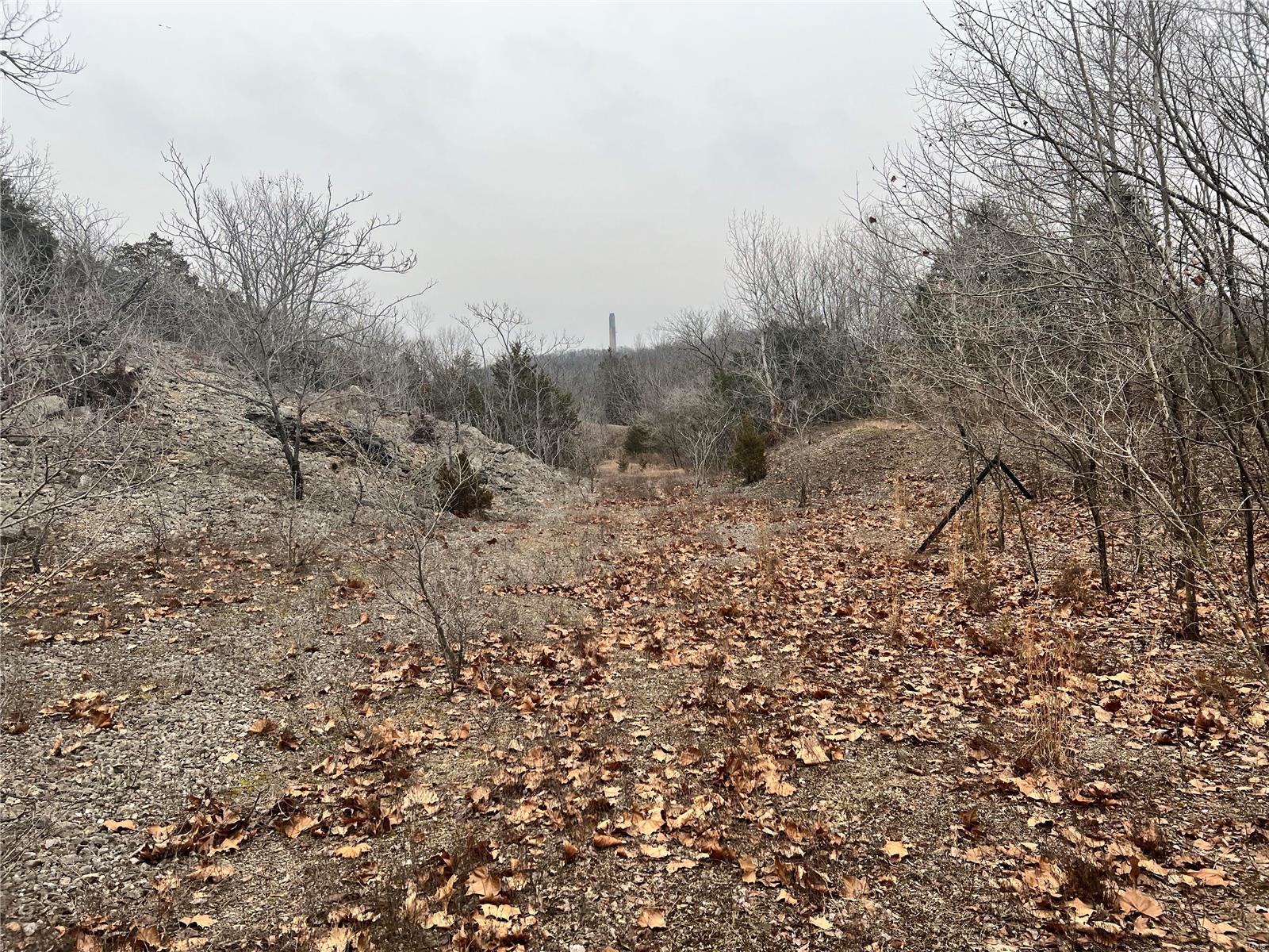 Homes for sale in Festus, MO | 675 Big Hollow Rd, Festus, MO 63028 | MLS# MIS25008992