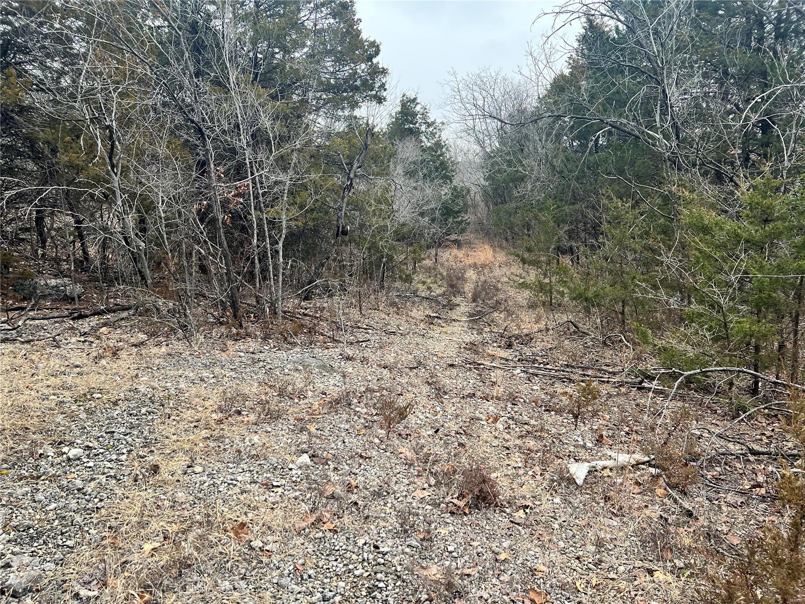 Homes for sale in Festus, MO | 675 Big Hollow Rd, Festus, MO 63028 | MLS# MIS25008992