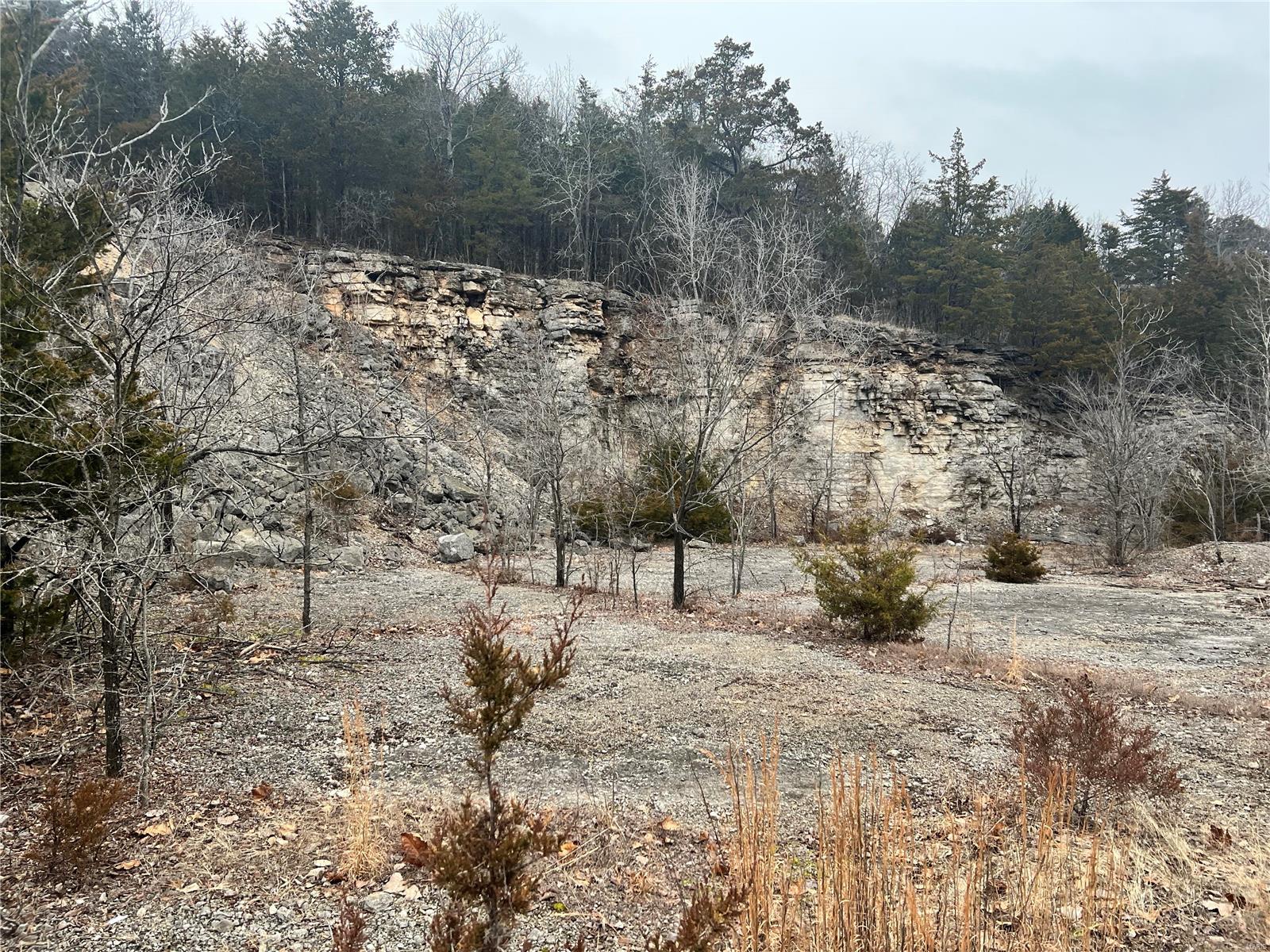 Homes for sale in Festus, MO | 675 Big Hollow Rd, Festus, MO 63028 | MLS# MIS25008992