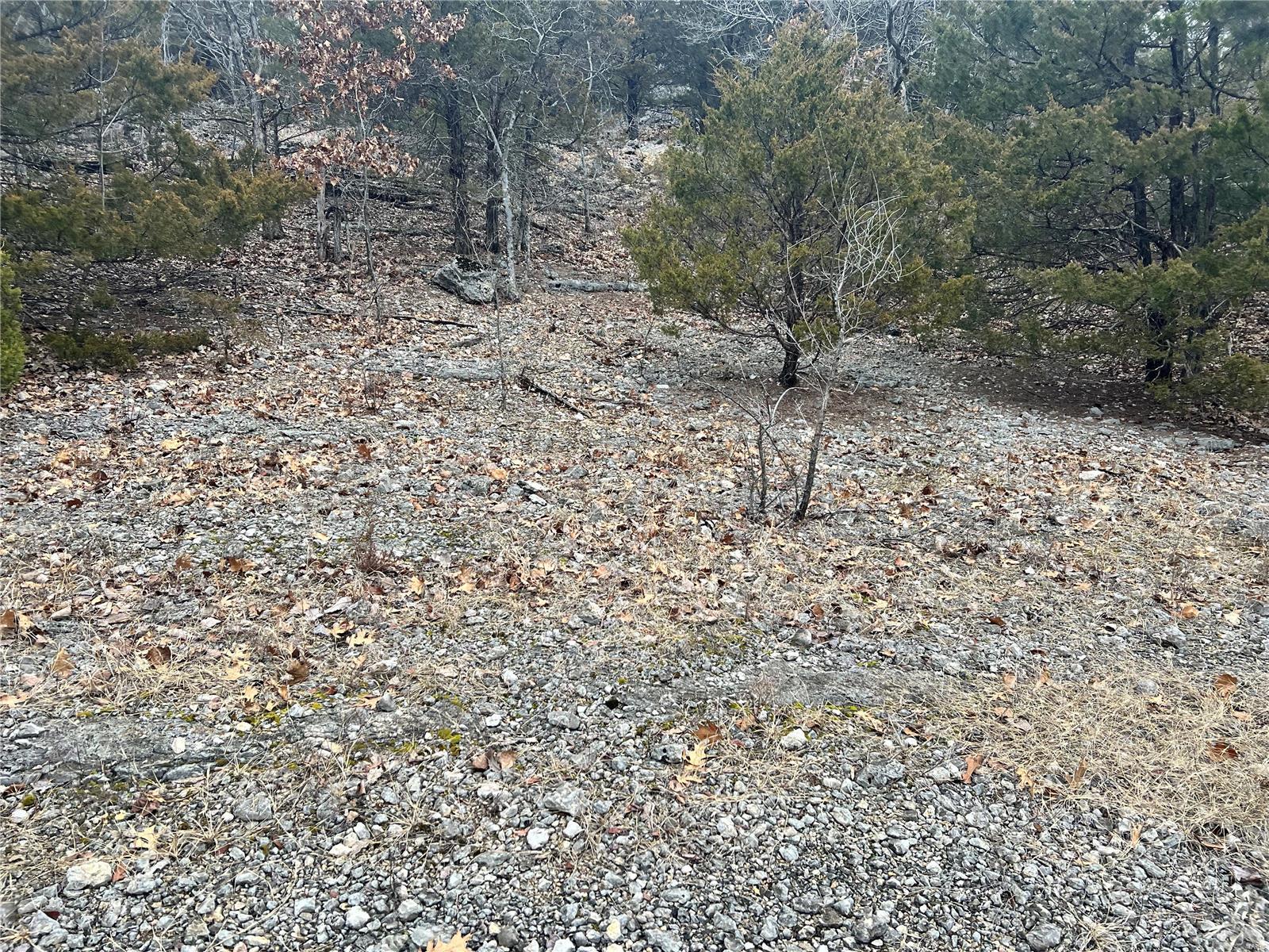 Homes for sale in Festus, MO | 675 Big Hollow Rd, Festus, MO 63028 | MLS# MIS25008992