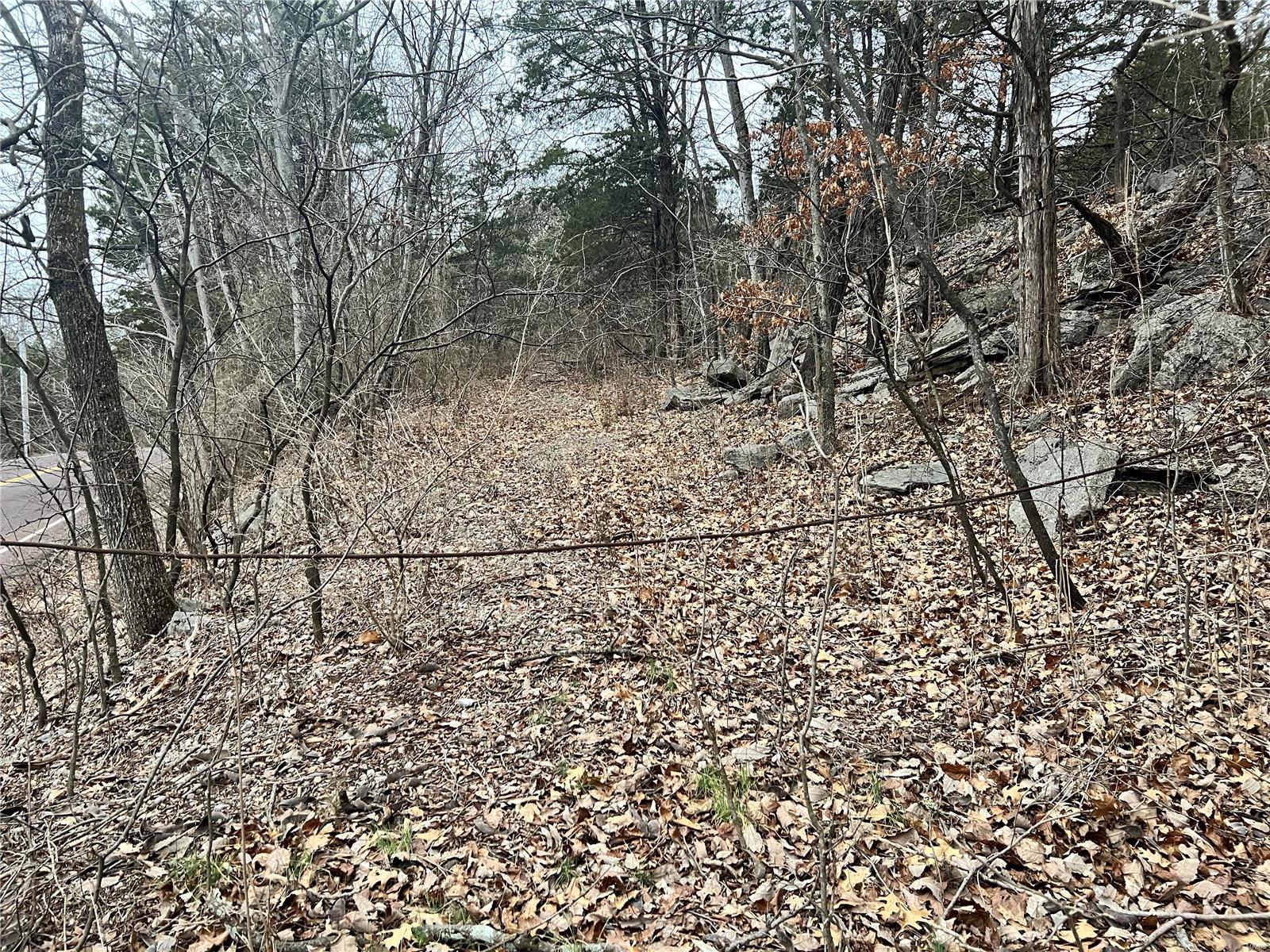 Homes for sale in Festus, MO | 675 Big Hollow Rd, Festus, MO 63028 | MLS# MIS25008992