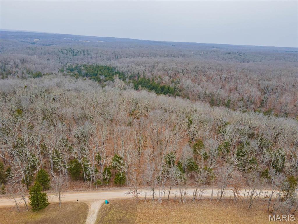 Homes for sale in Leasburg, MO | 0 Mcpherson Road, Leasburg, MO 65535 | MLS# MIS25013226