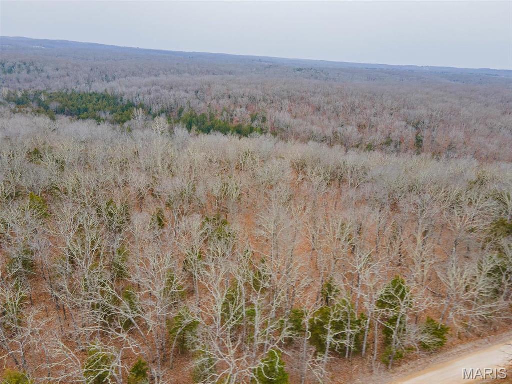 Homes for sale in Leasburg, MO | 0 Mcpherson Road, Leasburg, MO 65535 | MLS# MIS25013226