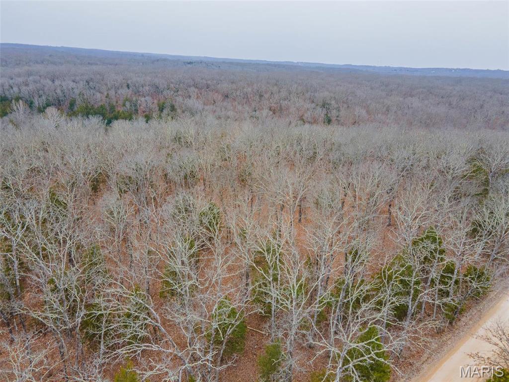 Homes for sale in Leasburg, MO | 0 Mcpherson Road, Leasburg, MO 65535 | MLS# MIS25013226