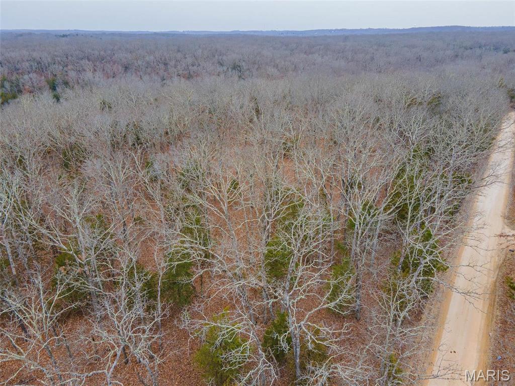 Homes for sale in Leasburg, MO | 0 Mcpherson Road, Leasburg, MO 65535 | MLS# MIS25013226