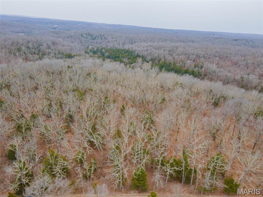 Homes for sale in Leasburg, MO | 0 Mcpherson Road, Leasburg, MO 65535 | MLS# MIS25013226