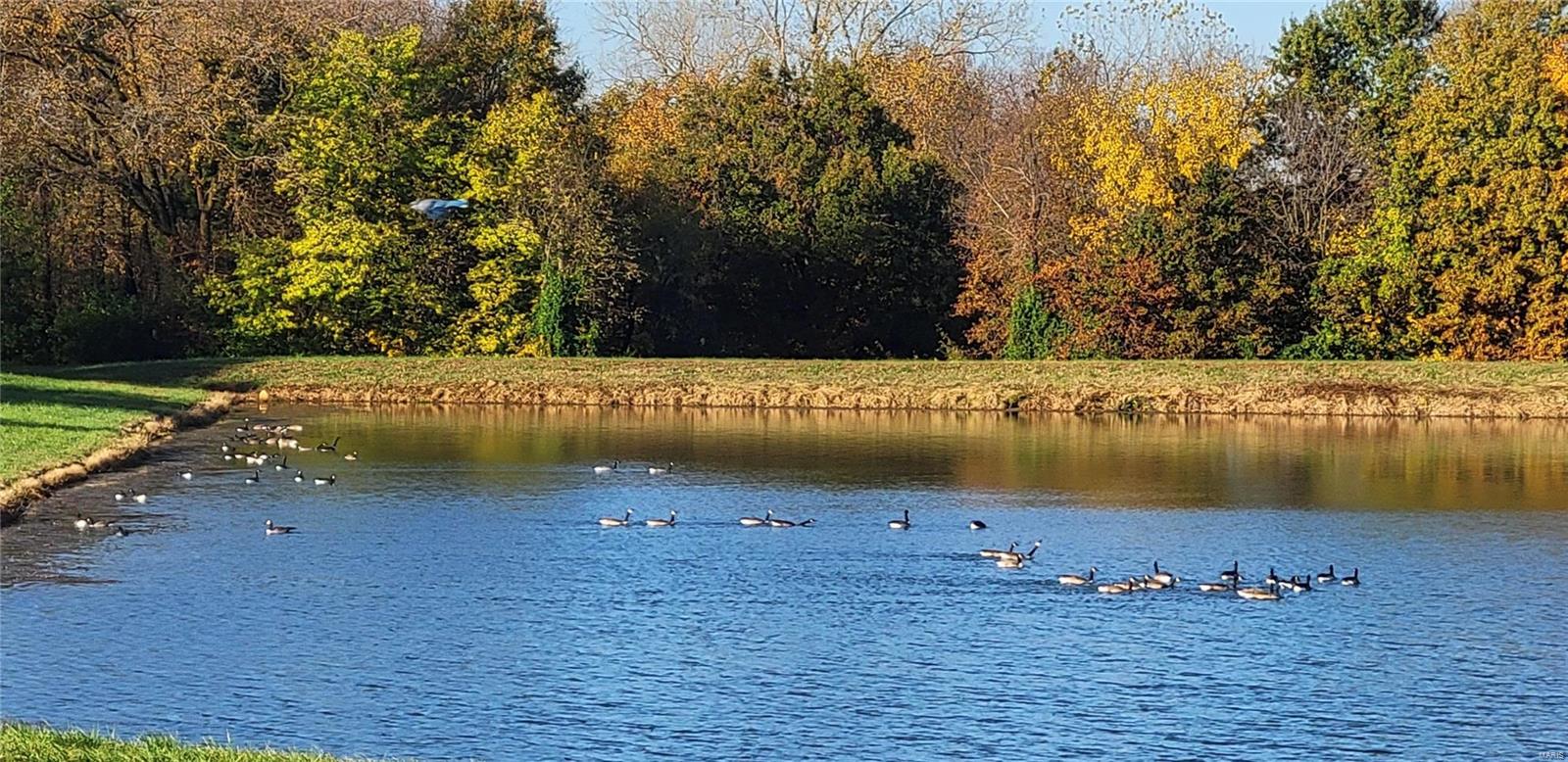 Homes for sale in Dorsey, IL | 6234 Renken Rd, Dorsey, IL 62021 | MLS# MIS25014082