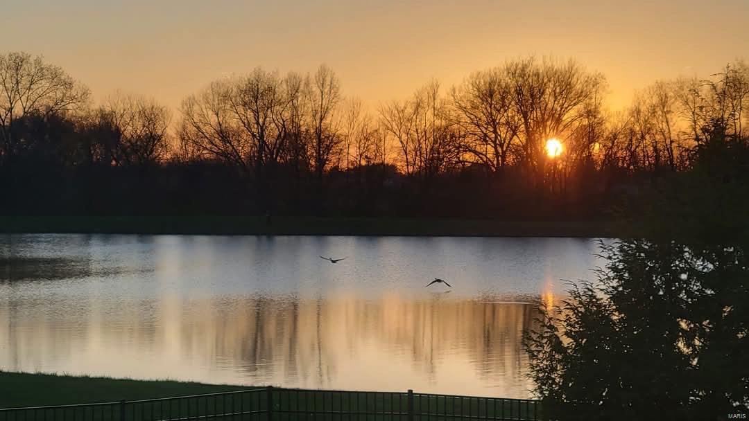 Homes for sale in Dorsey, IL | 6234 Renken Rd, Dorsey, IL 62021 | MLS# MIS25014082