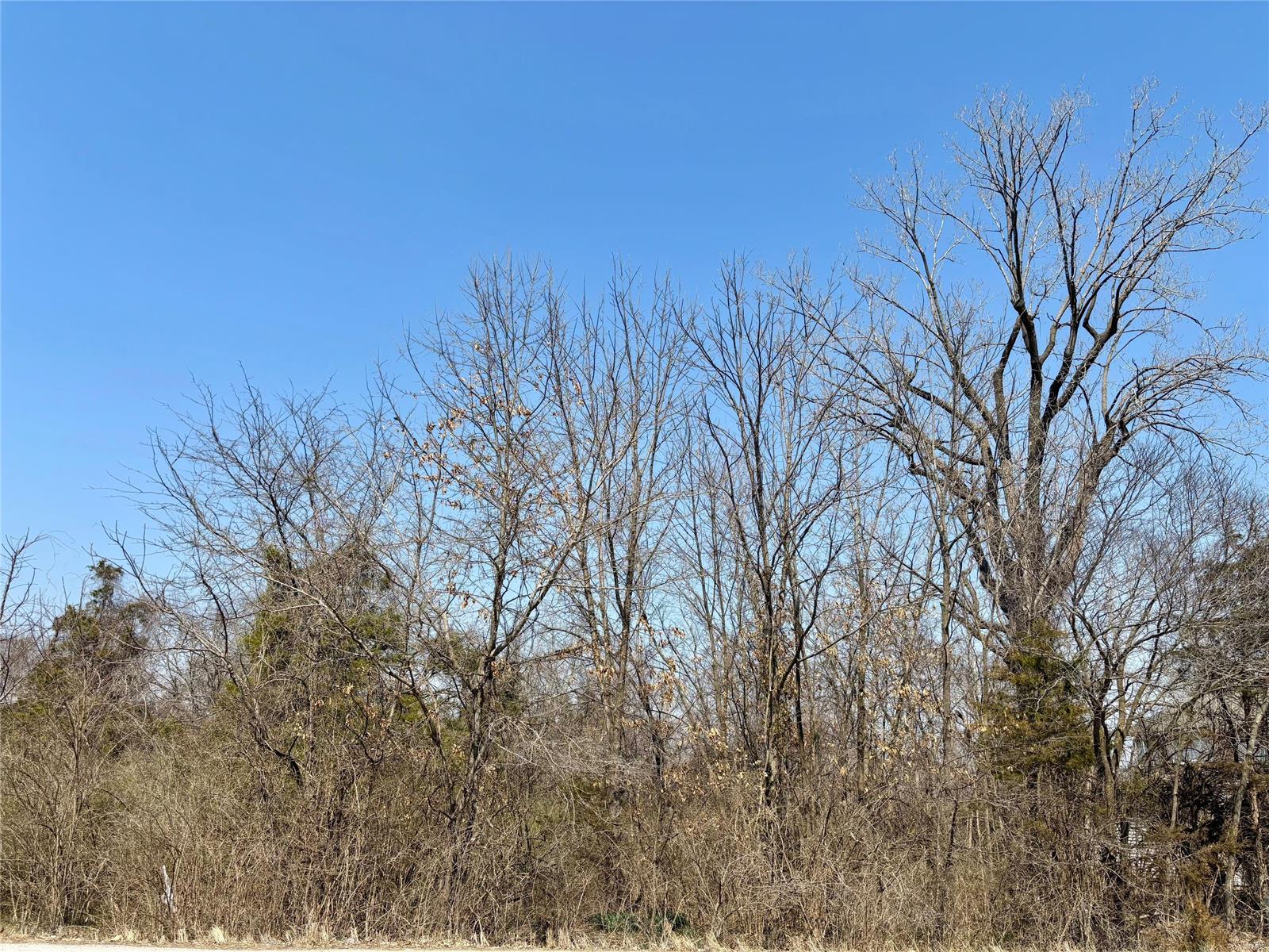 Homes for sale in Villa Ridge, MO | 3025 Hwy 100, Villa Ridge, MO 63089 | MLS# MIS25015940