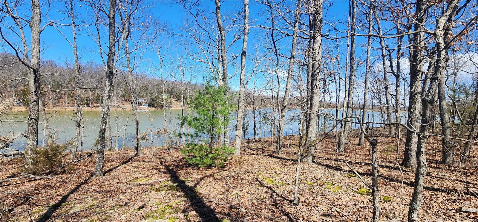 Homes for sale in Lonedell, MO | 222 Collins Ln, Lonedell, MO 63060 | MLS# MIS25015981