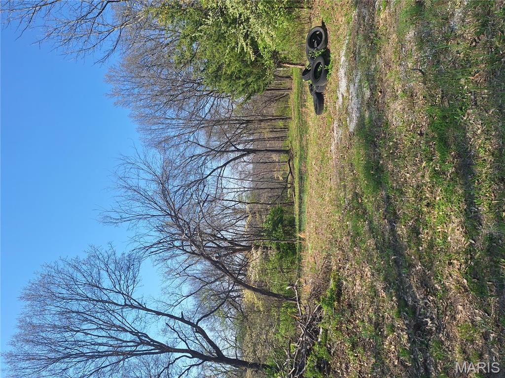 Homes for sale in Foley, MO | 185 Tall Tree Ln, Foley, MO 63347 | MLS# MIS25022840