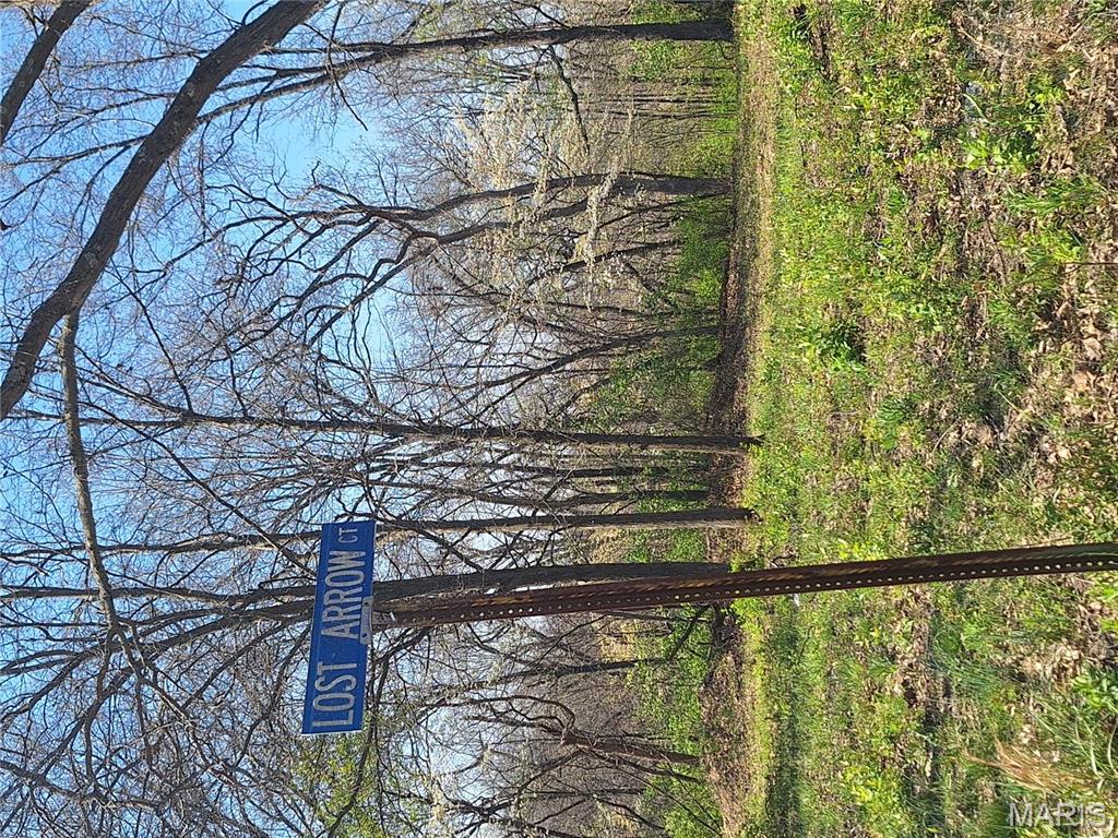 Homes for sale in Foley, MO | 185 Tall Tree Ln, Foley, MO 63347 | MLS# MIS25022840