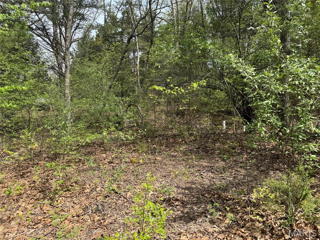 Homes for sale in Lonedell, MO | 0 Maple Dr, Lonedell, MO 63060 | MLS# MIS25026874