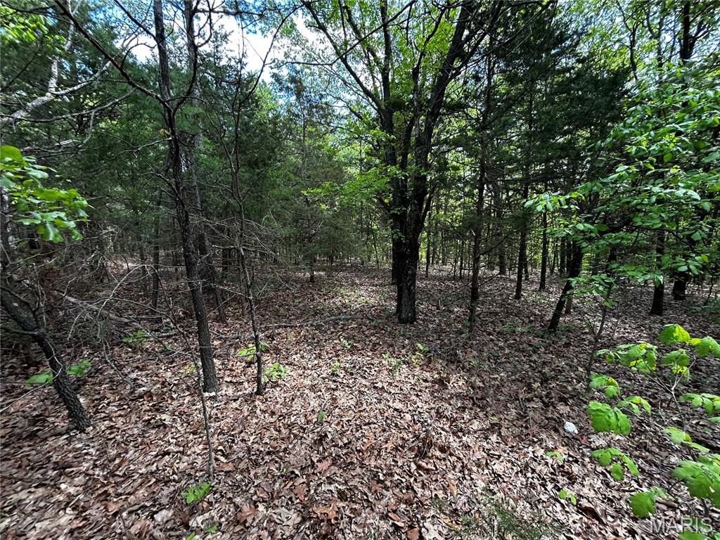 Homes for sale in Lonedell, MO | 0 Hwy 47, Lonedell, MO 63060 | MLS# MIS25027318