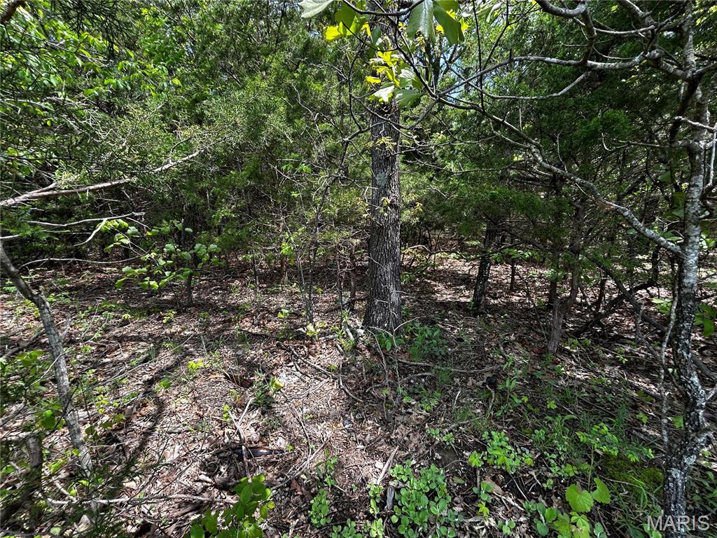 Homes for sale in Lonedell, MO | 0 Hwy 47, Lonedell, MO 63060 | MLS# MIS25027318